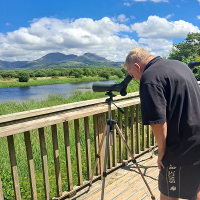 Zeearenden spotten in Wales