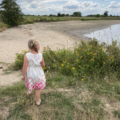 Laag water in de Lek