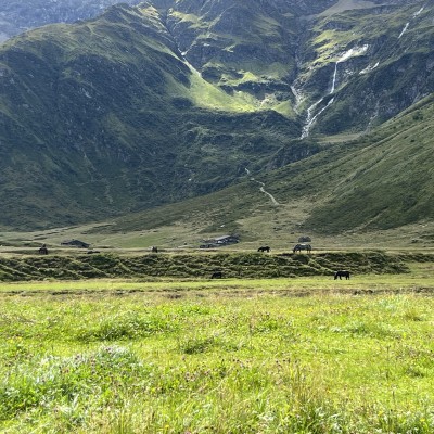 Natuur in Sportgastein