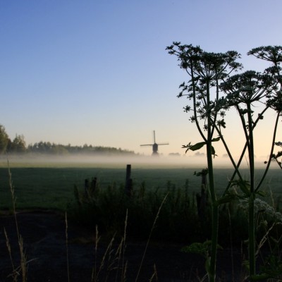 Molen in de ochtend