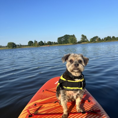 Kapitein op koers 🐾🌊