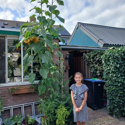 Geen Frankrijk, maar Krimpen aan de Lek