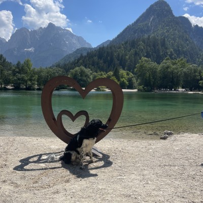 Tommy in Slovenië