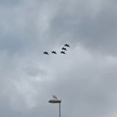 Flyby