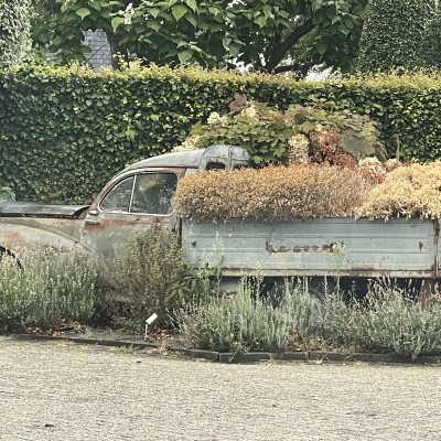 Droogte 2026