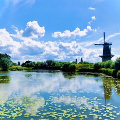 Korenmolen Nooit Gedagt in de zon