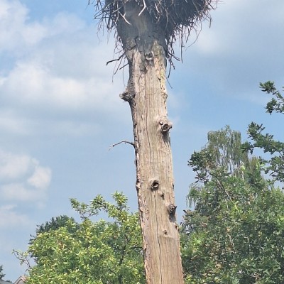 Hoog maar niet droog