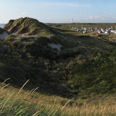 Deense duinen
