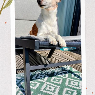 Heerlijk genieten van het zonne op de verandatje