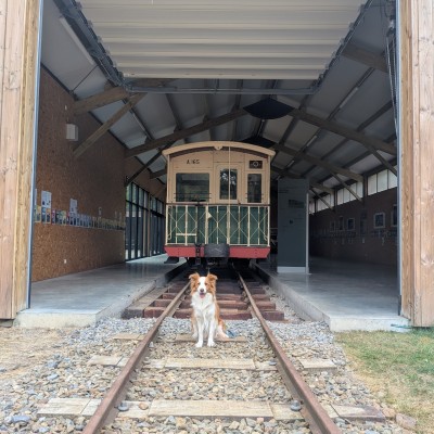Poseren bij oude tram