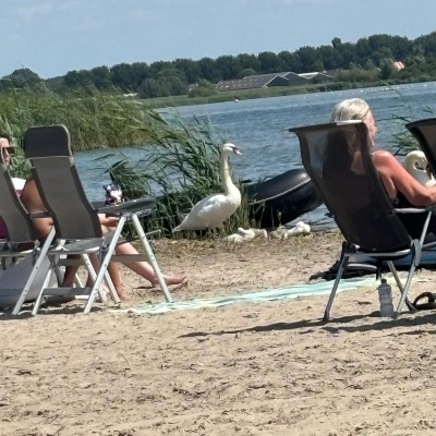 Stranddag