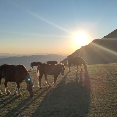 Zonsondergang op de Monte Cucco