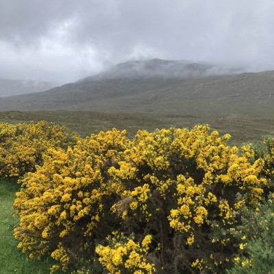 Highlands
