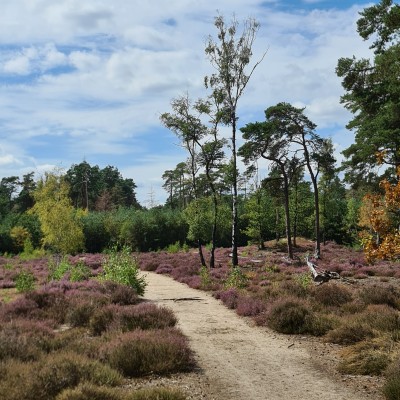 Nederlandse natuur......genieten!