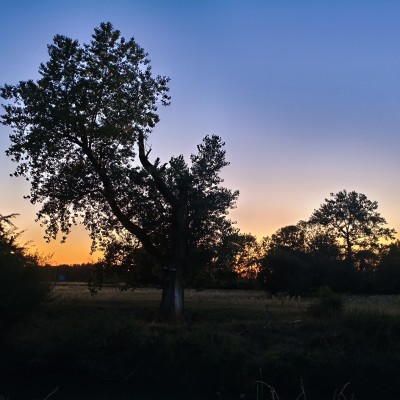 Zonsondergang in de Ardennen