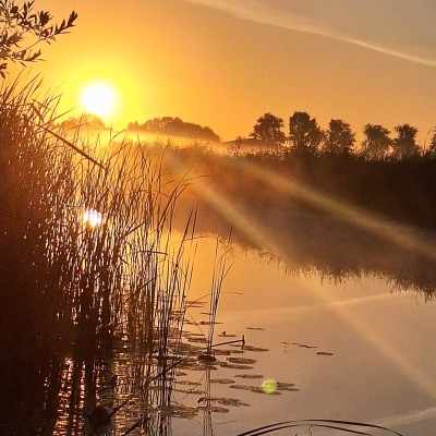 goude uurtje smorgens vroeg