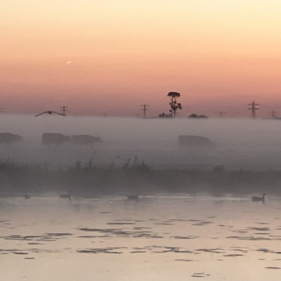 stille ochtendgloren in de polder Ouderkerk aan de IJssel