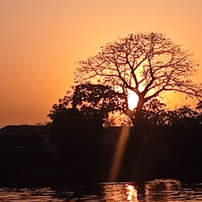Zonsondergang op de Gambiarivier