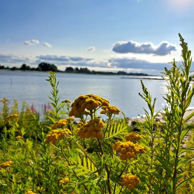 Mooi Nederland