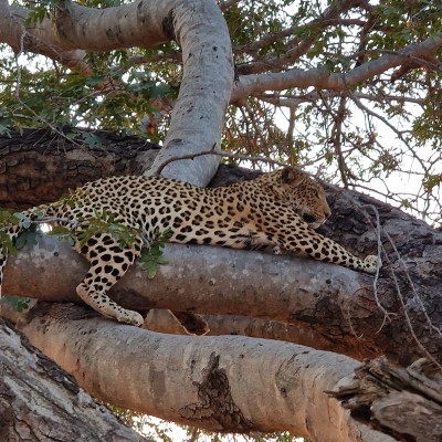 Spots on!
