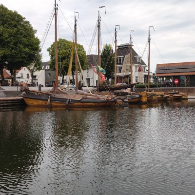 Mooi rijtje platbdems