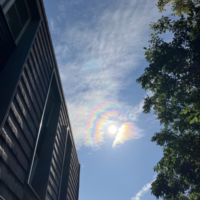 Halo om de zon
