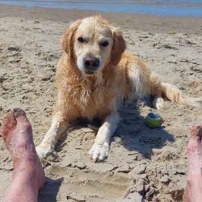 Heerlijk voorseizoen