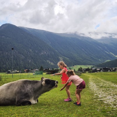 Nieuwsgierige ontmoeting op de alpenwei