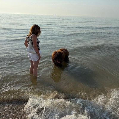 Verkoeling in de zee