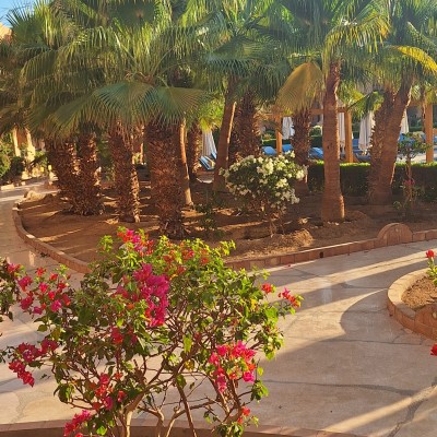 El Gouna