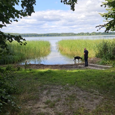 Mijn lieve hond Spike even uitlaten in 🇵🇱...