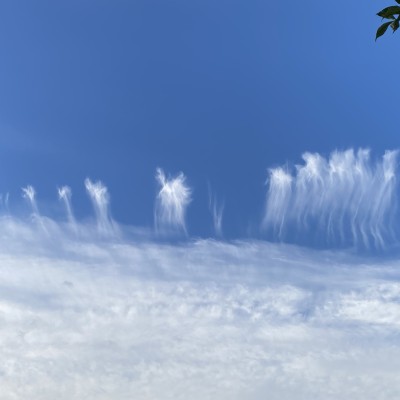 kwally-wolken