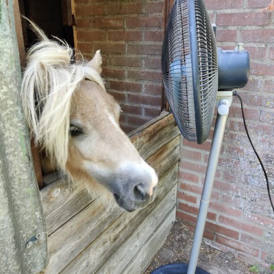 Met de wind in je haren
