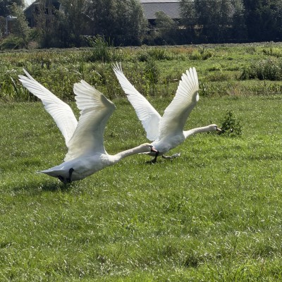 Come fly with me!