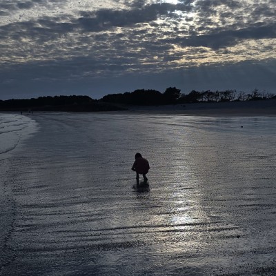 Krabben zoeken in Bretagne