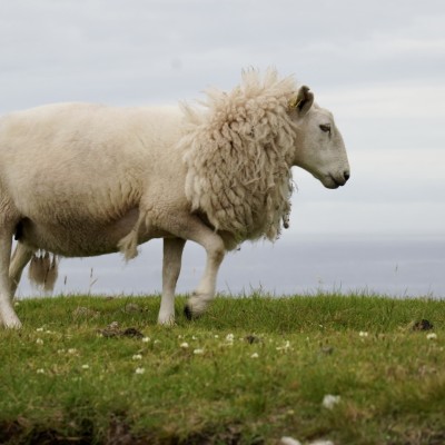 Modeshow in Schotland