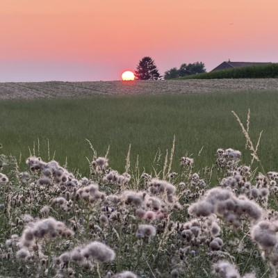 Zonsondergang