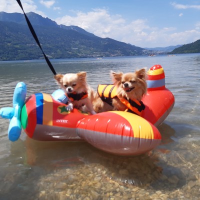 Daisy met vakantie vriendje op het water in Italië
