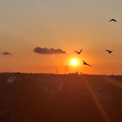 Een mooi natuurpanorama