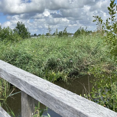 Wolken water en wind