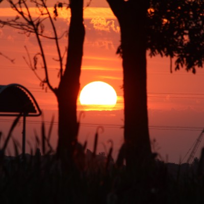 ondergaande zon in Berkenwoude