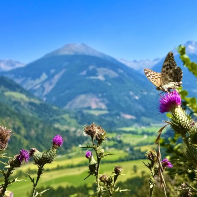 De breedte van Gods schepping in Oostenrijk