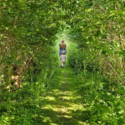 Wandeling bij het Heempad