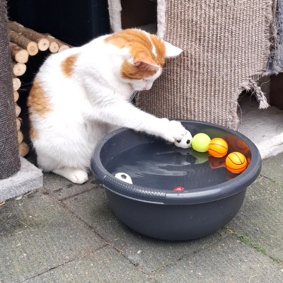 Doerak speelt met pingpongballen
