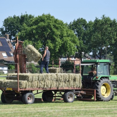 Hooien in de zon