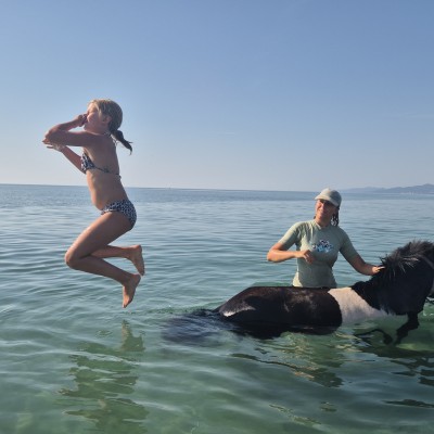 Pony Jump