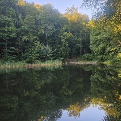 Weerspiegeling