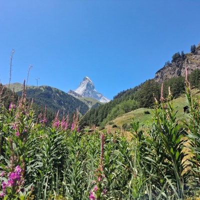 Zo mooi is Zwitserland!