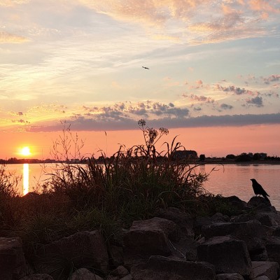 Zonsondergang bij de Uiterwaarden in Culemborg