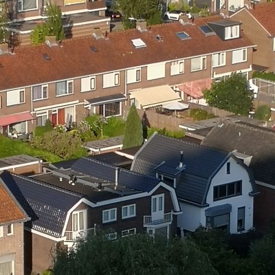 Huh, een gorilla?